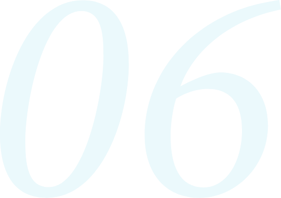 06
